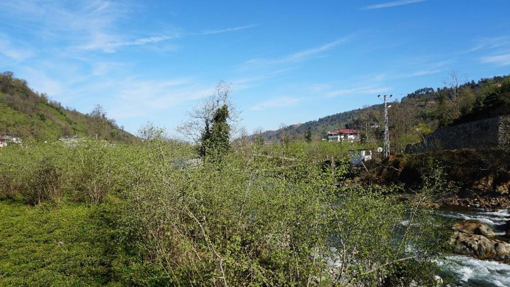 Yesil Dues Tatil Koeyue Fındıklı Kültér fotó